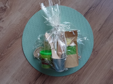 Mini zestaw sensoryczny - DINO - Stegozaur